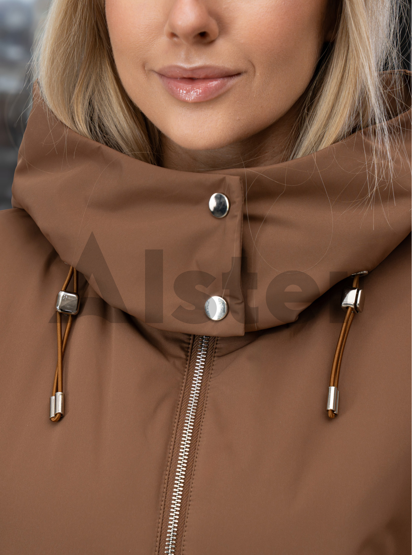 Короткая женская куртка 25C345 Snow Owl весна/осень Шоколадный S (25C345-09): фото - Alster.ua