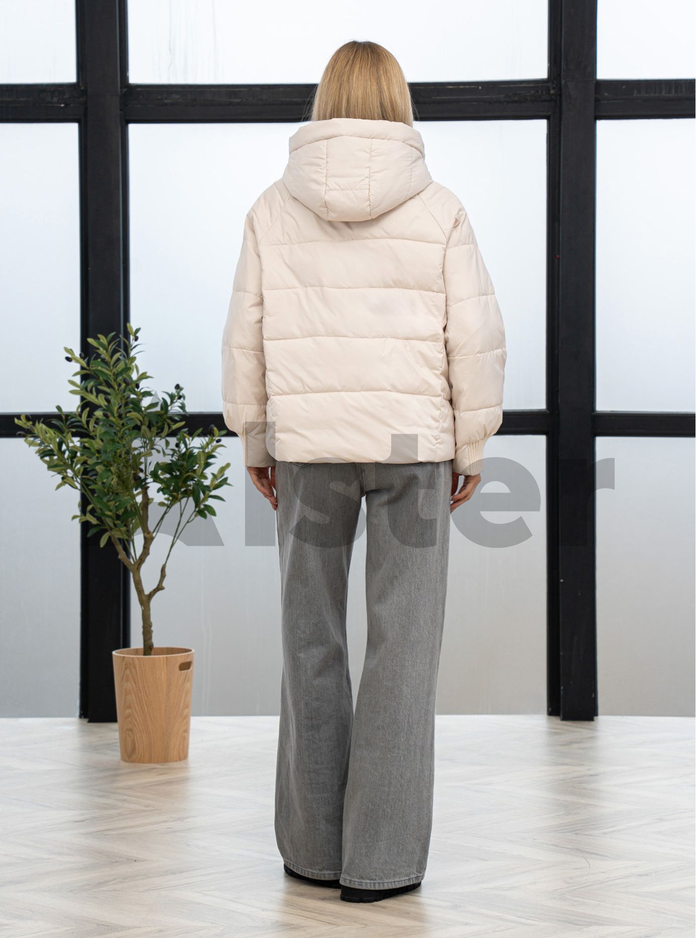 Демисезонная женская куртка Vivilona 2770 Молоко M (26VIV2770-01): фото - Alster.ua