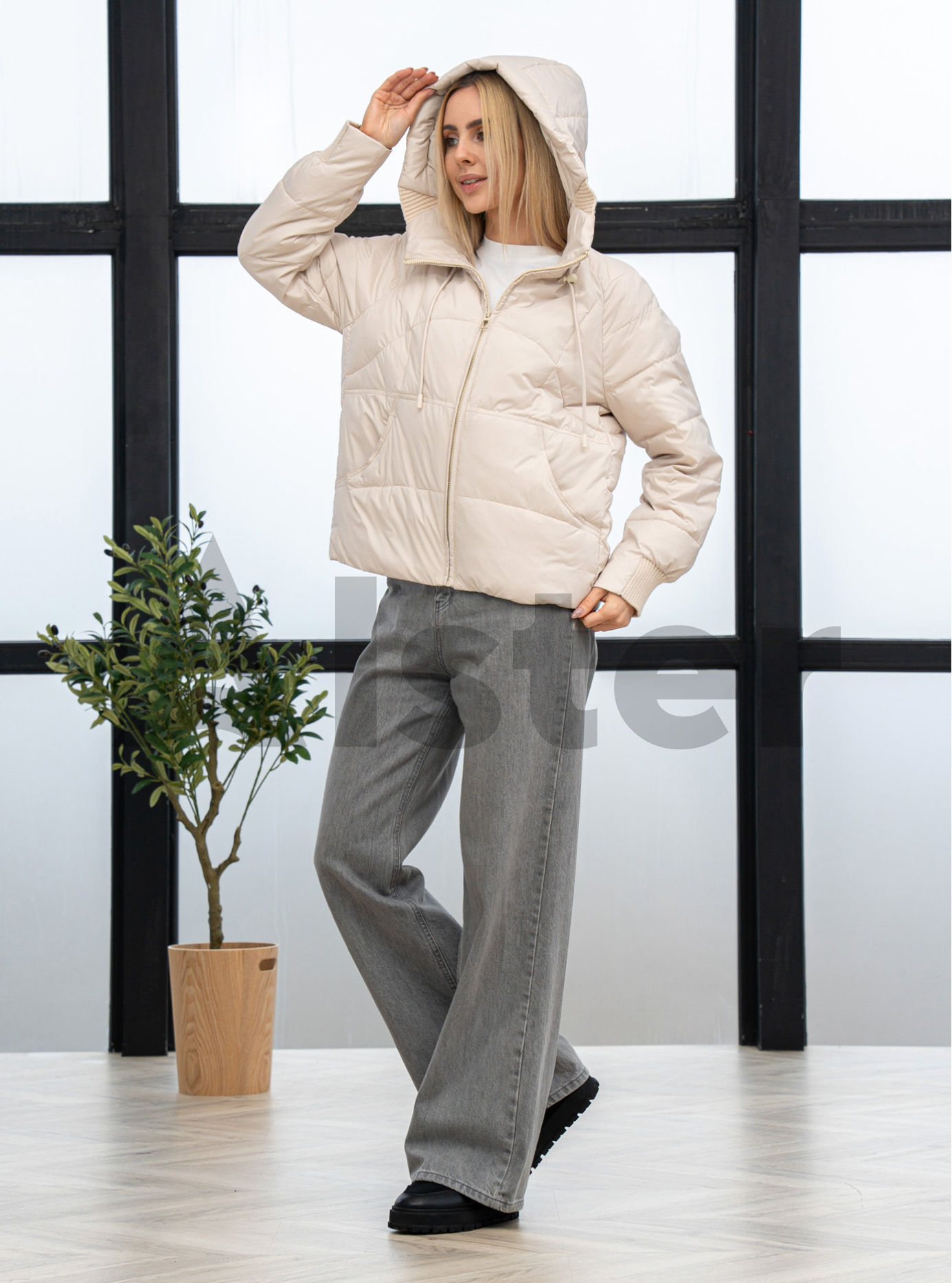 Демисезонная женская куртка Vivilona 2770 Молоко M (26VIV2770-01): фото - Alster.ua