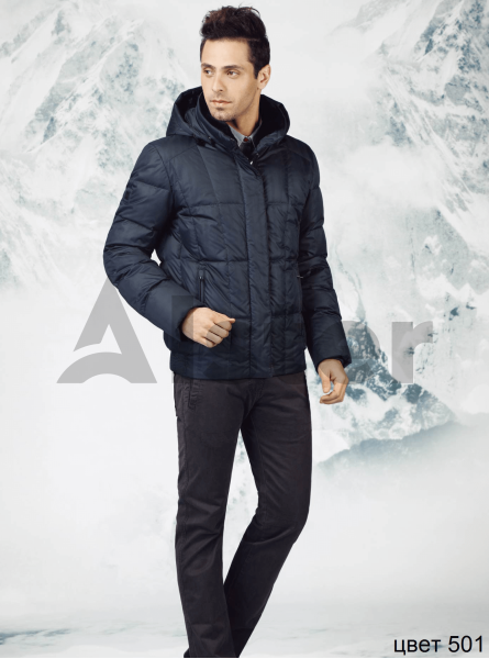 Мужской пуховик
