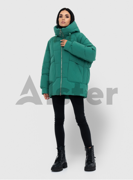 Зимняя женская куртка Olanmear 920